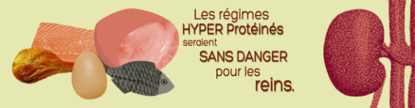 Ideal Protein est SANS danger pour les reins 